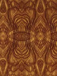 Spider (pattern and texture) – Melamine faced chipboard by Partex
