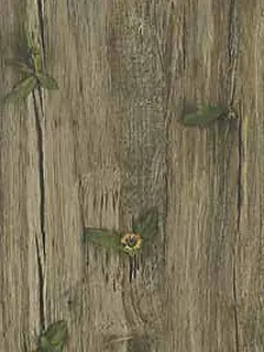 Wood Flower (pattern and texture) – Melamine faced chipboard by Partex