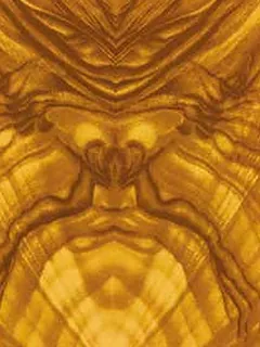 Super Board 203, golden burl (wood grain) – Melamine board and HPL (Formica) by Super Board